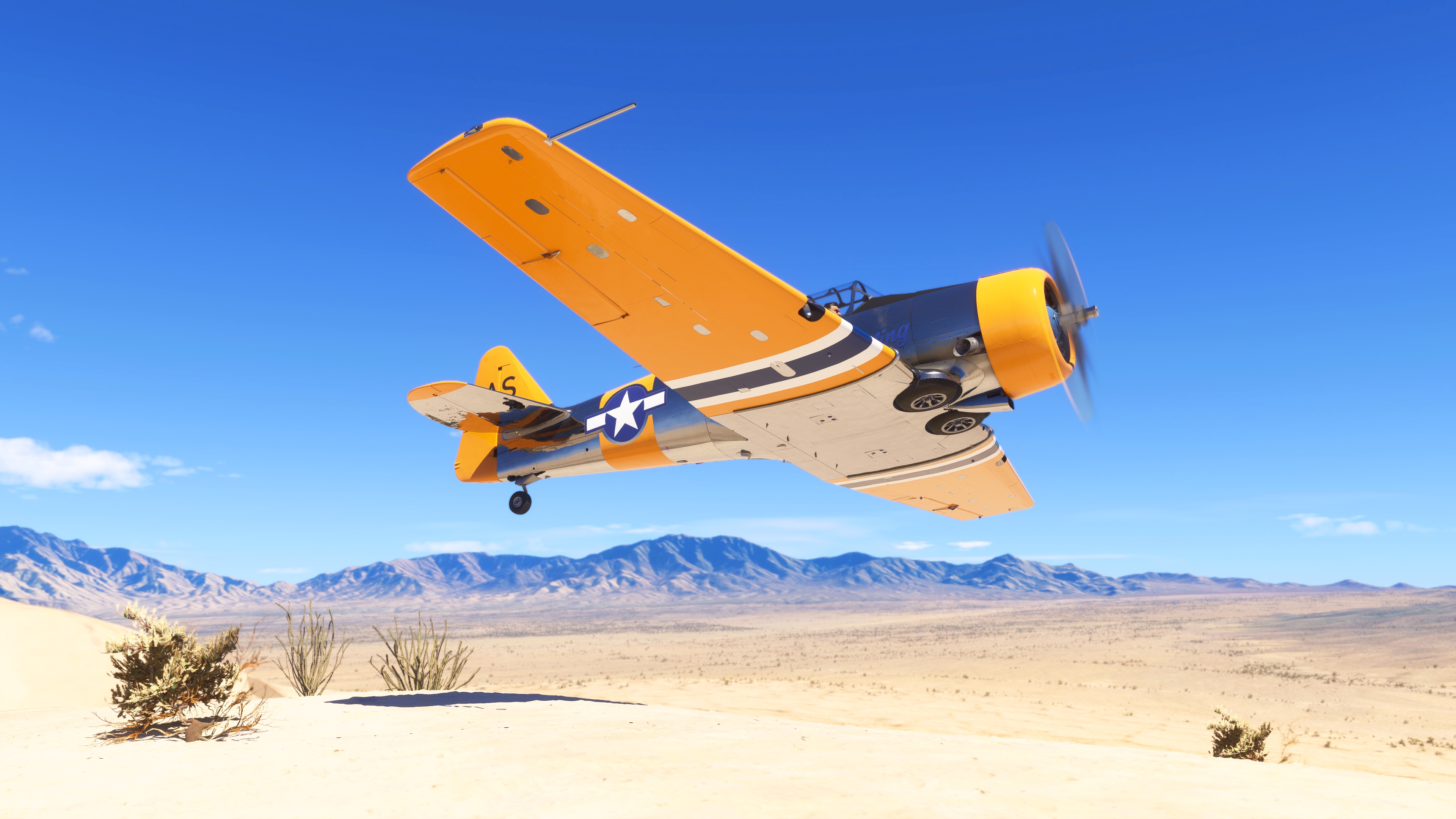 Microsoft Flight Simulator 2024 - Imagen 19